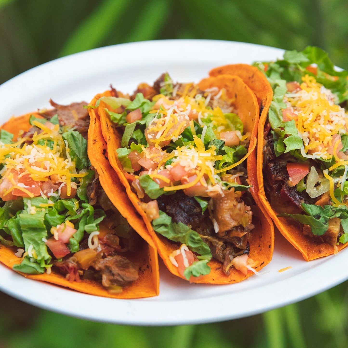 Hatch Red Chile Corn Tortillas