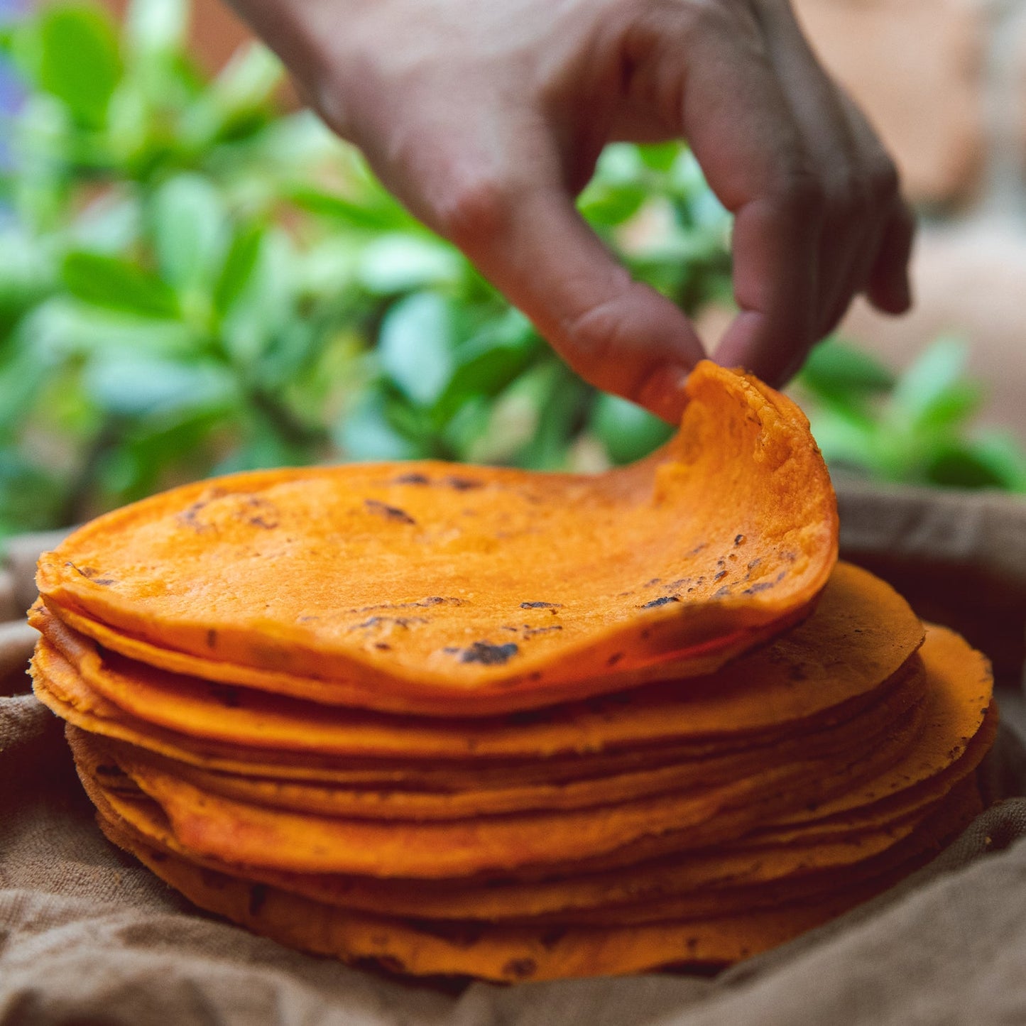 Hatch Red Chile Corn Tortillas